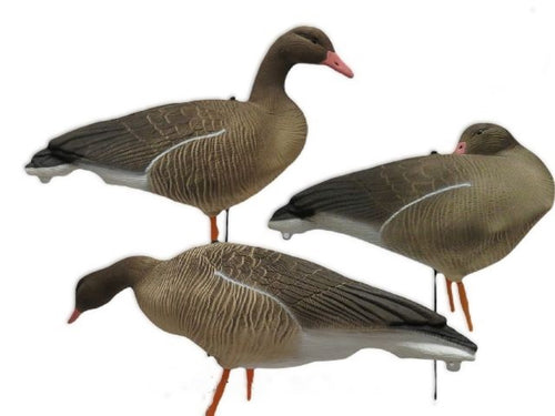 Ganzen Lokkers Kunststof,  Grauwe Gans , set 6 stuks