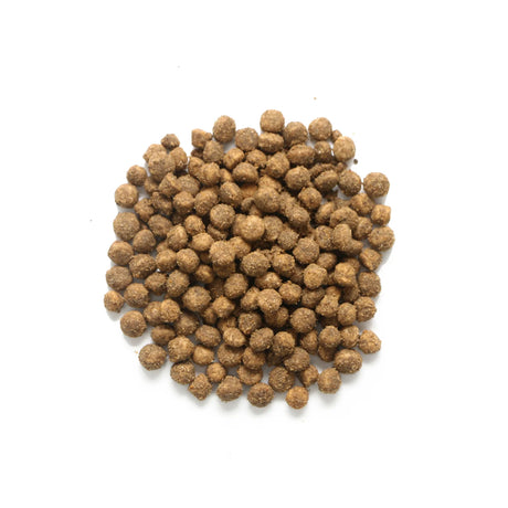 Imperial Food Health Sensitive  4 kg. brok close-up
