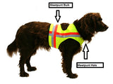 Signaalvest voor honden Gummiflex,  Oranje