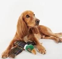 Barbour Pheasant Dog Toy