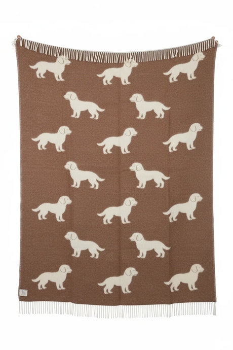 Belpo Puppy's Plaid, chocolate/cream