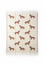 Belpo Puppy's Plaid, chocolate/cream