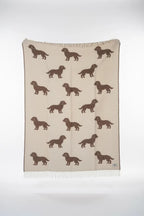 Belpo Puppy's Plaid, dark brown/white