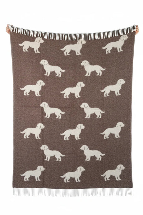 Belpo Puppy's Plaid, dark brown/white