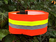Signaal Halsband Hond, Gummiflex Oranje