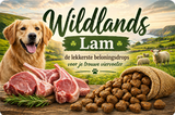 Belonings drops "Wildlands Lam"