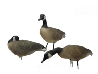 Ganzen Lokkers Kunststof,  Canadese Gans, set 6 stuks