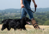 Dubarry Ranger, leren hondenriem, mahogany