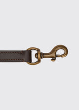 Dubarry Ranger, leren hondenriem, mahogany