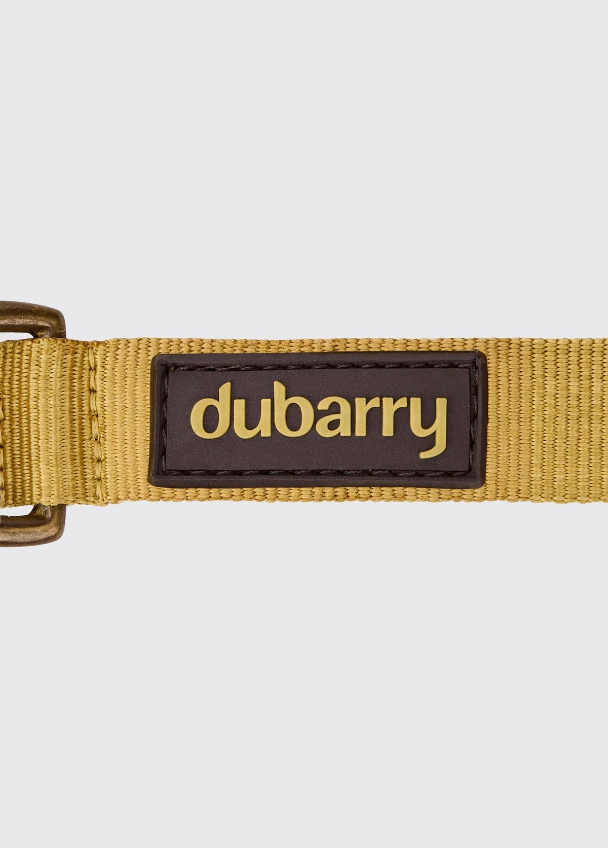 Dubarry Apollo, nylon hondenhalsband, gold