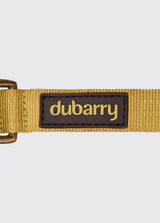 Dubarry Apollo, nylon hondenhalsband, gold
