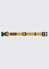 Dubarry Apollo, nylon hondenhalsband, gold