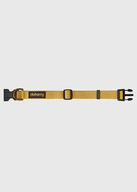 Dubarry Apollo, nylon hondenhalsband, gold