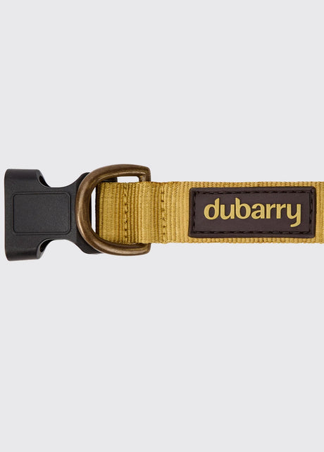 Dubarry Apollo, nylon hondenhalsband, gold