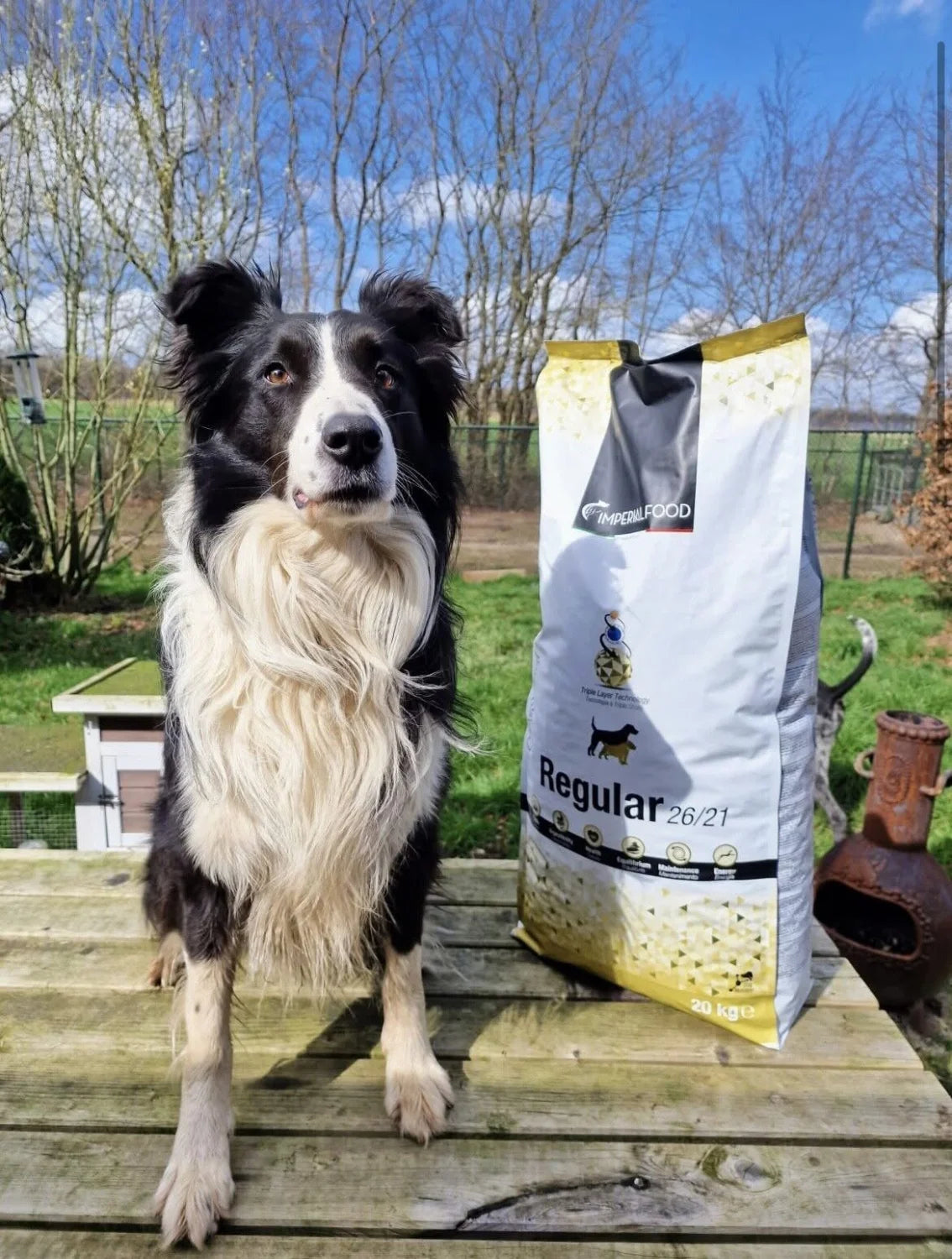Imperial Food Regular 5 kg detailafbeelding