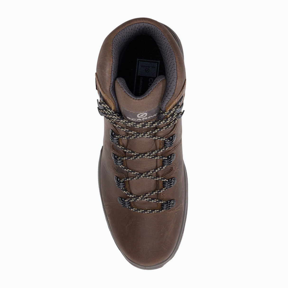 Scarpa Terra GTX Women, brown