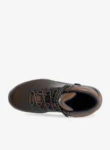 Scarpa Terra GTX, heren, brown
