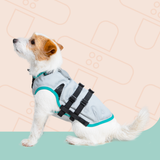 Dry-Cooling vest | Koelvest voor honden