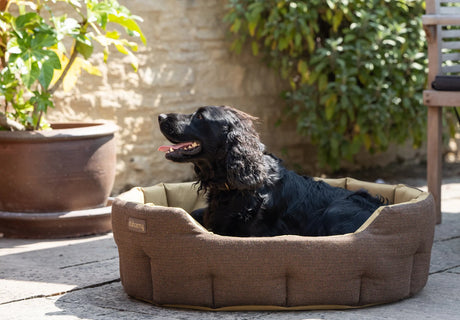 Dubarry Buster hondenmand, herringbone tweed