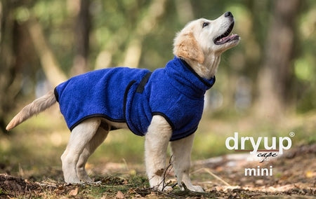 Dry-up Cape Mini  Blueberry - Het Brabants Jachthuis