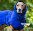 Dry-up Cape Blueberry - Het Brabants Jachthuis
