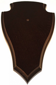 Schedelplank