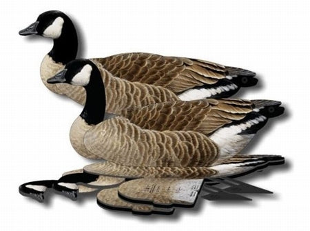 FUD Lokkers Canada Gans Sixpack